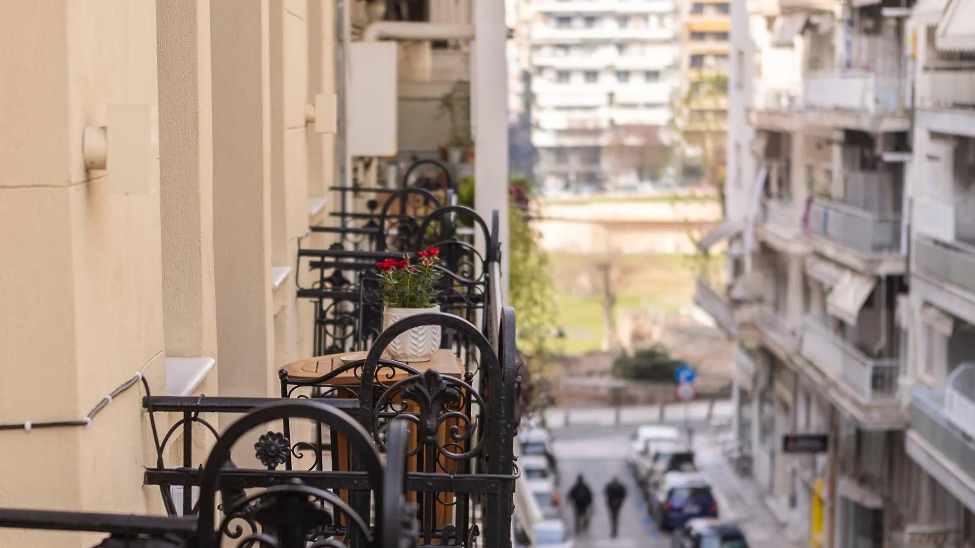 Gatto Perso Luxury Studio Apartments